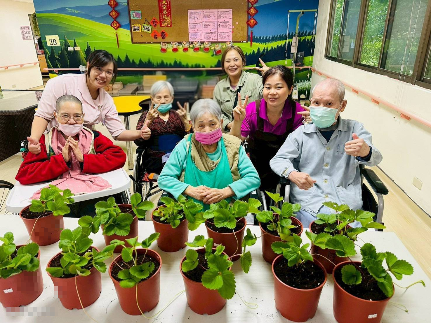 長輩們開心接力栽種草莓，期待未來再次共享甜美的豐收時光。