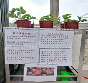 以工作推車置放植栽，可彈性移動植栽位置